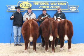 March Pen Bulls